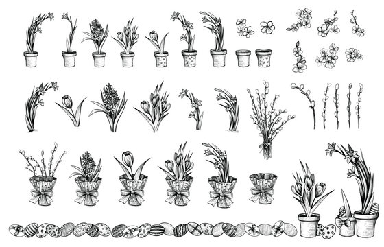 Spring flowers in pots, vector vintage illustration. Easter decoration and gardening sketches.