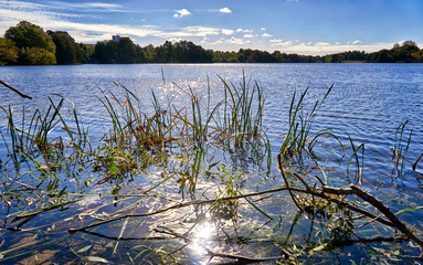 Glittering sunbeams are reflected in the sea.