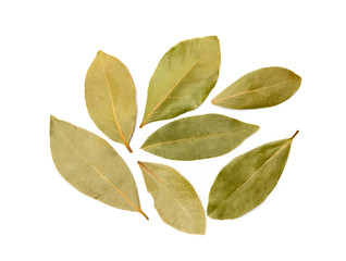 Dried bay leaf isolated on white background