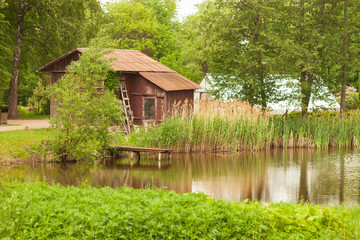 Obraz premium Botanical garden. Reeds in the wind and green nature by a lake or pond in spring or summer with wooden house and greenhouse
