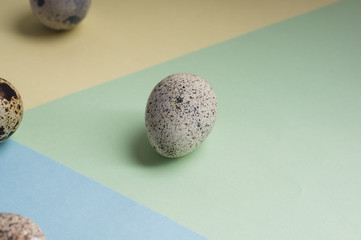 heap of quail eggs on color background. Vegetarian organic  eco food.