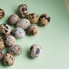 Obraz premium heap of quail eggs on color background. Vegetarian organic eco food.