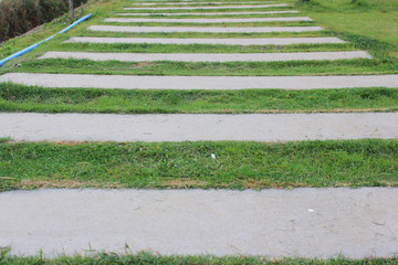 Pathway in garden home. Walking path gray stones in the grass lawn