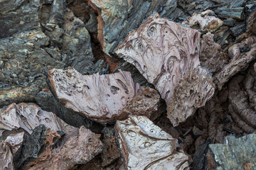 Grey, fresh lava field and glossy rocky land near Volcano Tolbachiskiy, Kamchatka, Russia.