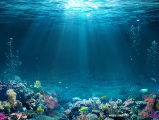 Fotobehang Onderwaterscène - Tropische zeebodem met rif en zonneschijn © Romolo Tavani