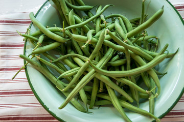 Freshly picked organic green beans in a vintage enamel bowl on a red stripe linen kitchen cloth