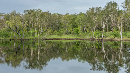 Fototapeta na wymiar Beautiful mirror view of the Nourlangie Creek in the Kakadu National Park, Australia