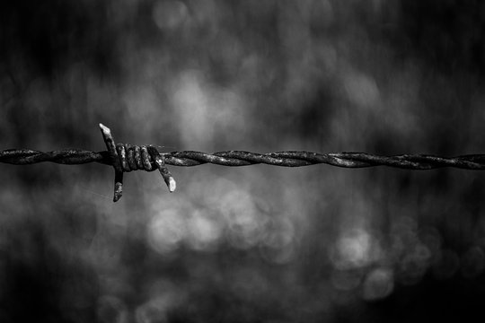 Closeup on barbed wire