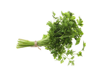 Bunch of fresh green parsley on white background