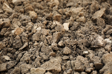 Textured ground surface as background, closeup. Fertile soil for farming and gardening