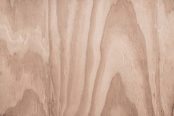 Wooden texture background. Light wood fiber texture