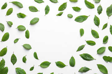 Frame made of green leaves on white background, top view. Space for text