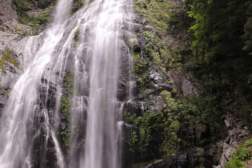 Obraz premium 千尋の滝