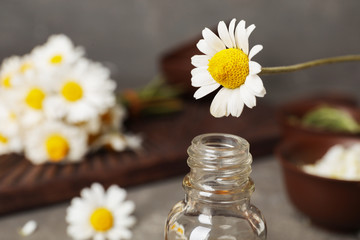 Obraz na płótnie Canvas Chamomile flower over bottle with essential oil on blurred background, closeup. Space for text