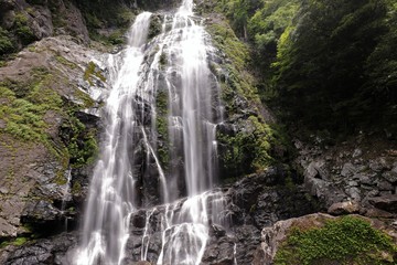 Fototapeta na wymiar 千尋の滝