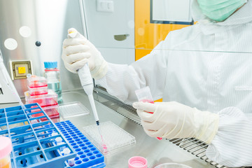 A scientist seeding cells and pipetting growth medium into 96-well plate for molecular assay in biological cabinet (BSC). Doing molecular experiment in cleanroom facility. - obrazy, fototapety, plakaty