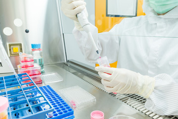 A scientist seeding cells and pipetting growth medium into 96-well plate for molecular assay in...