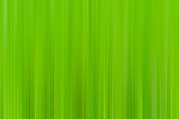 Abstract vertical green lines background.