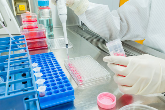 Cell Assay Photos Royalty Free Images Graphics Vectors Videos Adobe Stock Cell Assay Photos Royalty Free Images Graphics Vectors Videos Adobe Stock