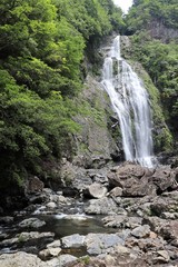 Obraz na płótnie Canvas 千尋の滝