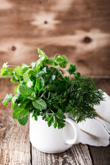 Obraz na płótnie Canvas Fresh culinary and aromatic herbs plant in rural mug