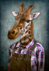 Giraffe in clothes. Man with a head of an giraffe. Concept graphic in vintage style with soft oil painting style.