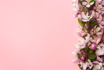 frame of pink flowers. apple tree flowers on a pink background with spase for text 