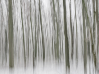 Abstrakter Wald im Winter