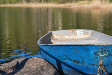 old rowing boats moored on the shore against the green forest.