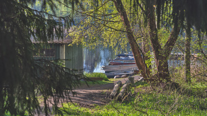 old rowing boats moored on the shore against the green forest.