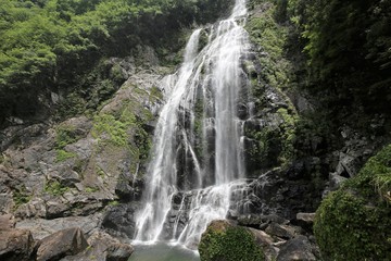 Fototapeta na wymiar 千尋の滝