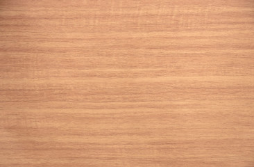 wood background texture