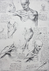 Anatomical notes. Profile, face, foot. Manuscripts of Leonardo da Vinci in the vintage book Leonardo da Vinci by A.L. Volynskiy, St. Petersburg, 1899 - 270260767