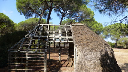 Do&ntilde;ana, National Park in Huelva. Andalucia,Spain