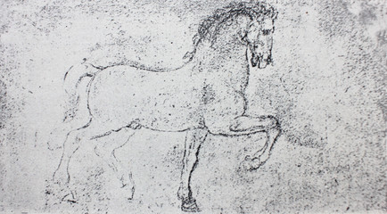 The sketches of the horse by  Leonardo da Vinci in the vintage book Leonardo da Vinci by A.L. Volynskiy, St. Petersburg, 1899