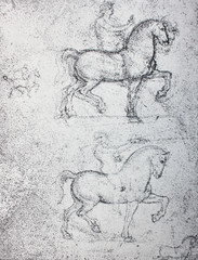 The sketches of the horses by  Leonardo da Vinci in the vintage book Leonardo da Vinci by A.L....