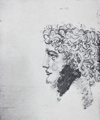 The sketch of the young man by  Leonardo da Vinci in the vintage book Leonardo da Vinci by A.L....