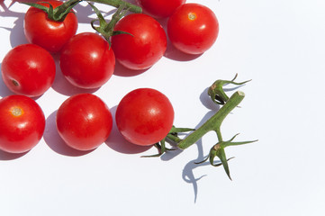 Set of uncooked cherry tomatoes