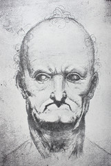 The face of the old man by Leonardo da Vinci in the vintage book Leonardo da Vinci by A.L....