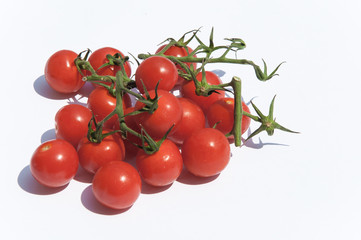 Set of uncooked cherry tomatoes