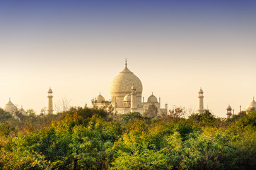 Fototapeta na wymiar view of the beautiful Taj Mahal, Agra
