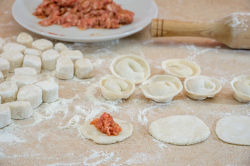 concept of cooking dumplings: dough, minced meat, flour, rolling pin on the kitchen table.