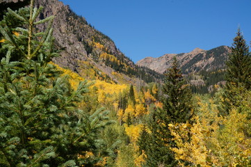 Gore Creek in Autumn