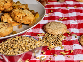 Oatmeal cookies with husk whole oats in scoop on red kitchen gingham checkered cotton fabric on table in farm-style. Leftovers from breakfast.