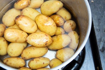jersey royal potatoes in a saucepan full of water