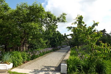 path in park