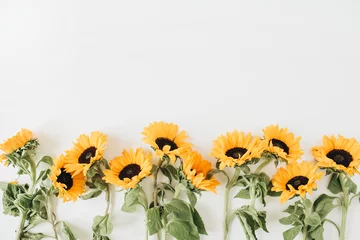 Rolgordijnen Sunflowers pattern on white background. Flat lay, top view blog hero header. © Floral Deco