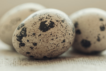 three quail eggs on  burlap sack close up