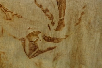 gray fabric texture with hole and burnt spots