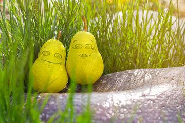 two yellow pears with faces in the garden. smiling pears